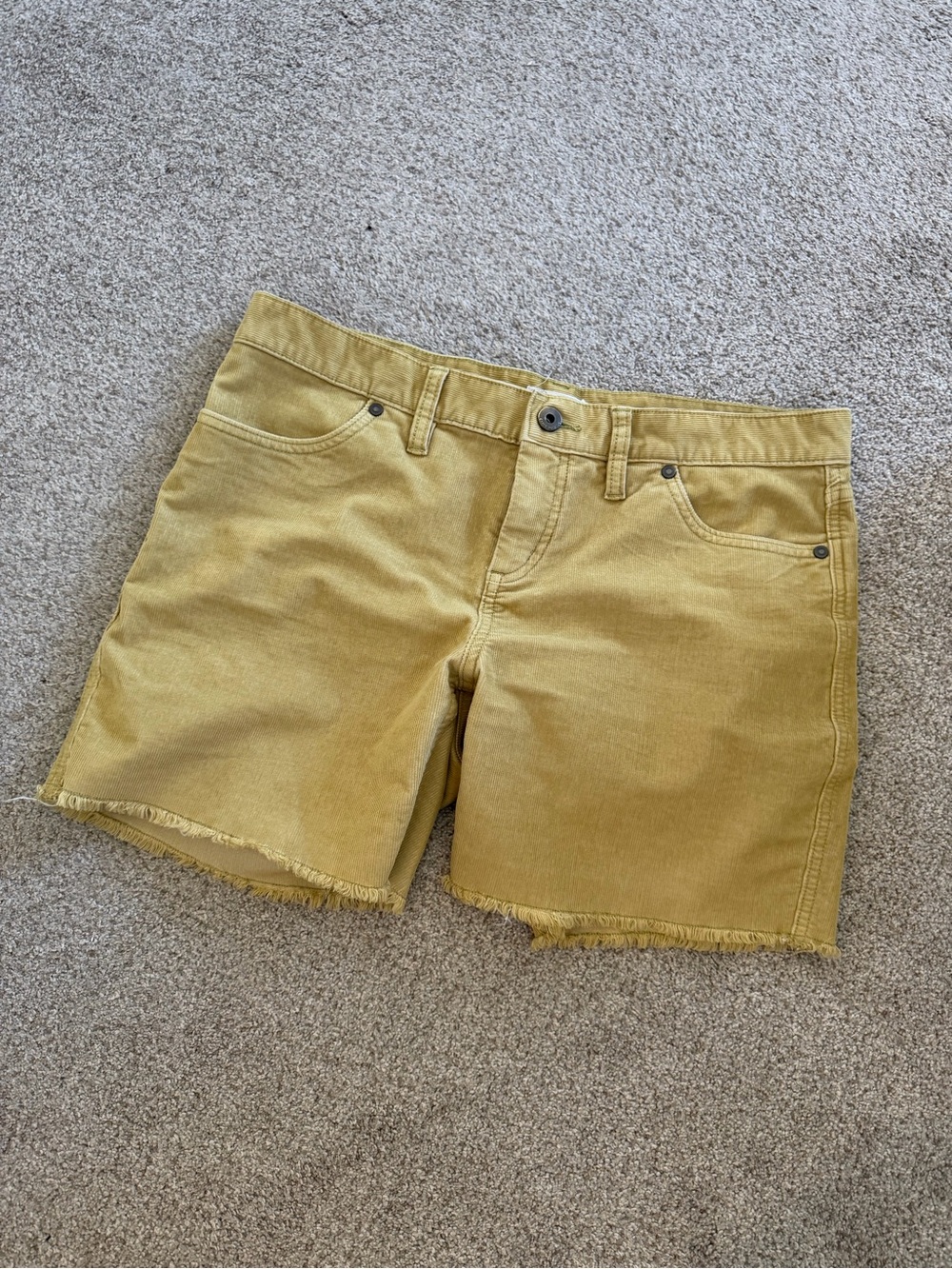 Carve Designs Carson Shorts